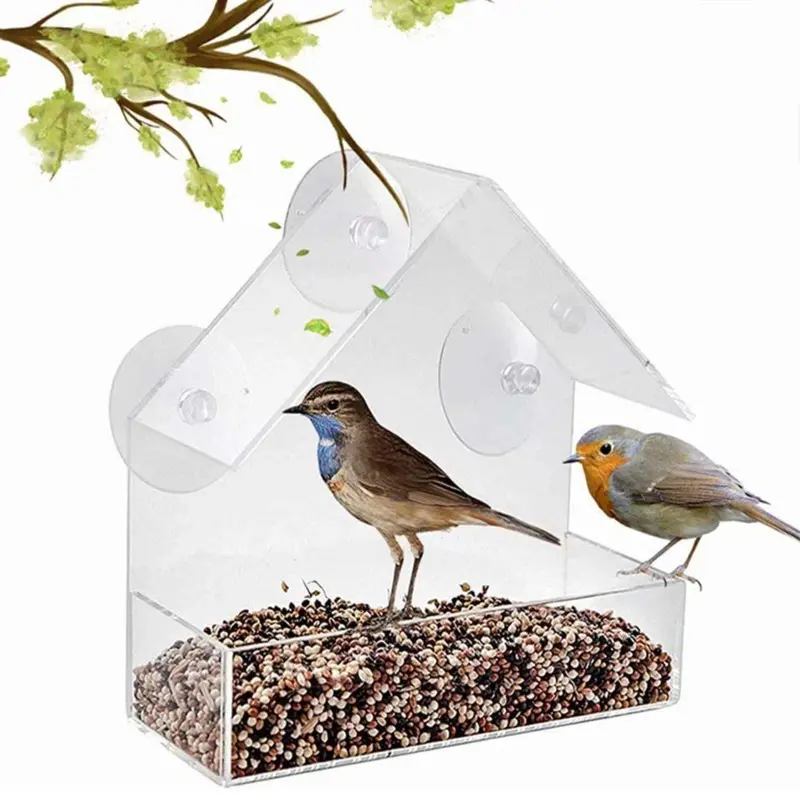 Besafe tempat makan burung, pengumpan jendela rumah burung gantung transparan kecil luar ruangan dengan 3 cangkir hisap kuat dan nampan biji