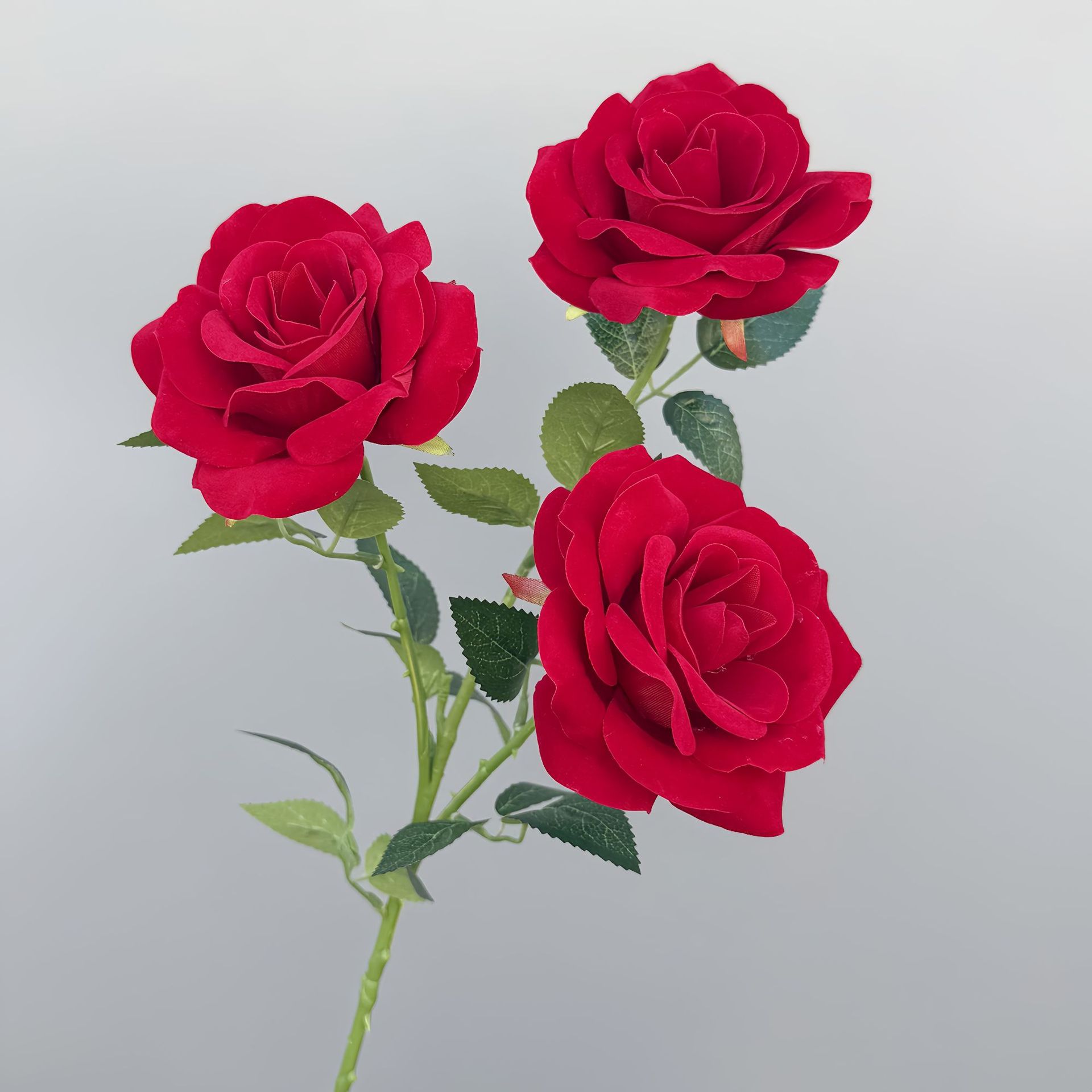 Velours rose-rouge-76 cm