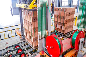 Advance Automatic Clay <strong>Brick</strong> <strong>Loading</strong> Machine <strong>and</strong> <strong>Brick</strong> Packing Machine <strong>System</strong> - Product Image 3
