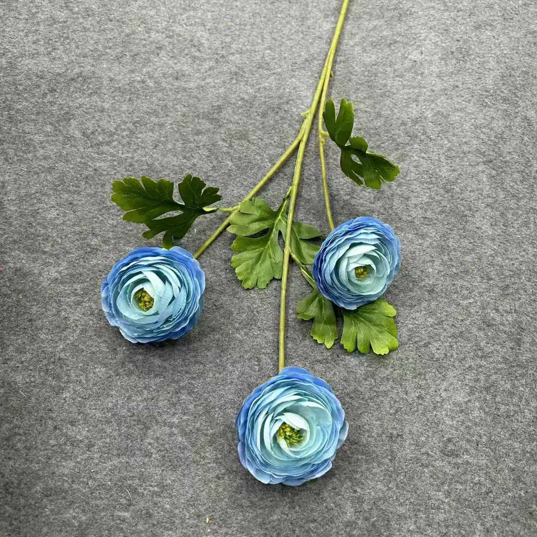 Ranunculus 9