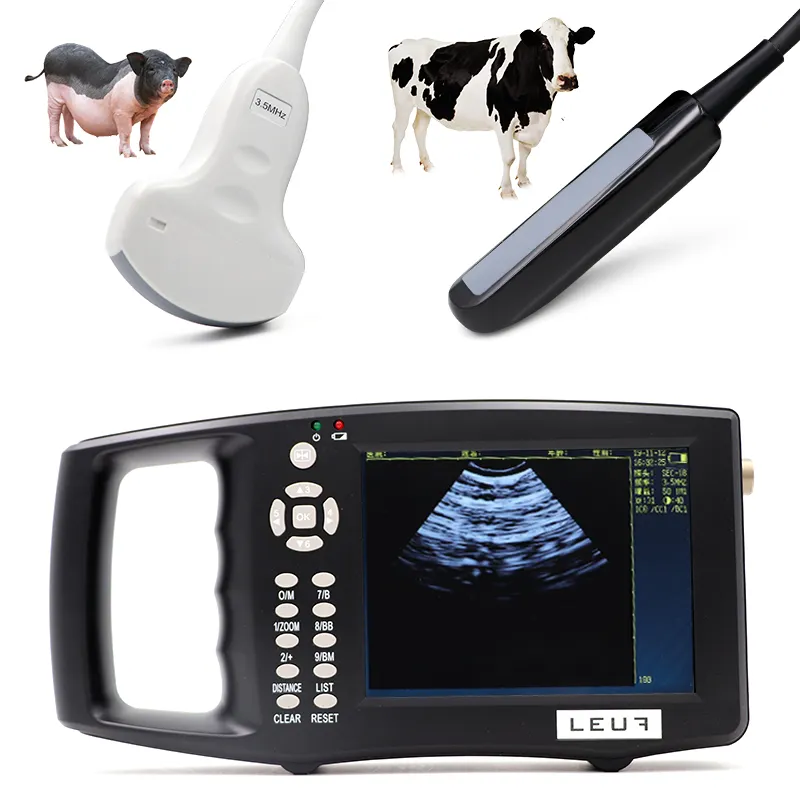 Scanner a ultrasuoni portatile con strumento veterinario Test di gravidanza per animali, Test di gravidanza per suini delle pecore, Scanner veterinario