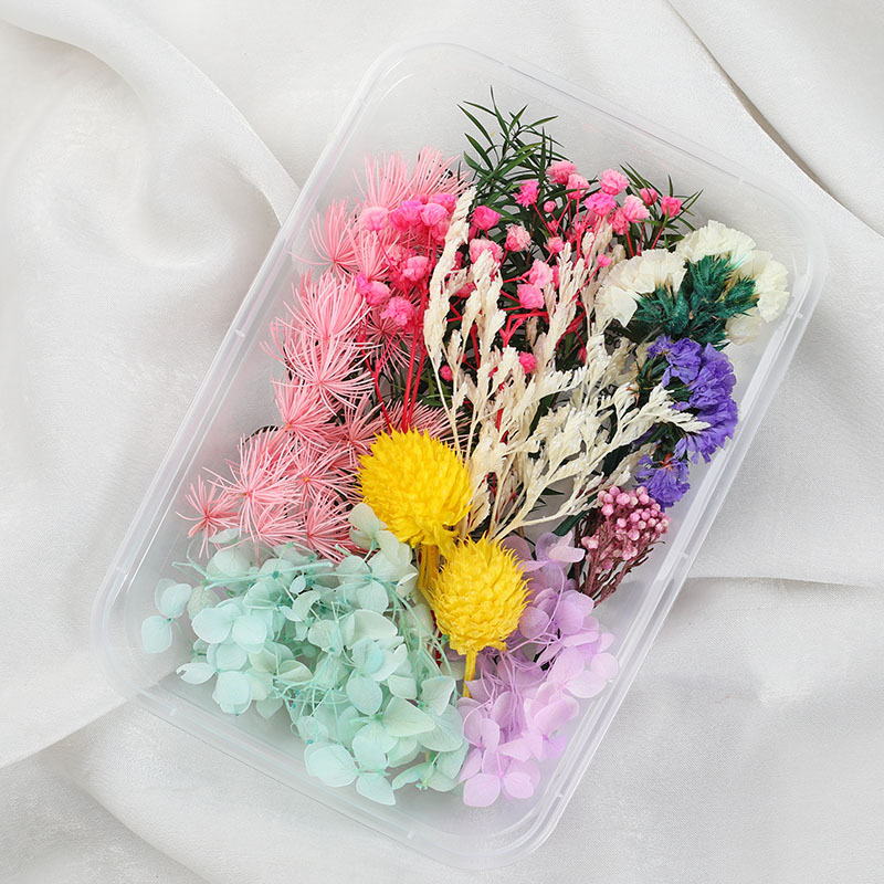 สีสัน-3