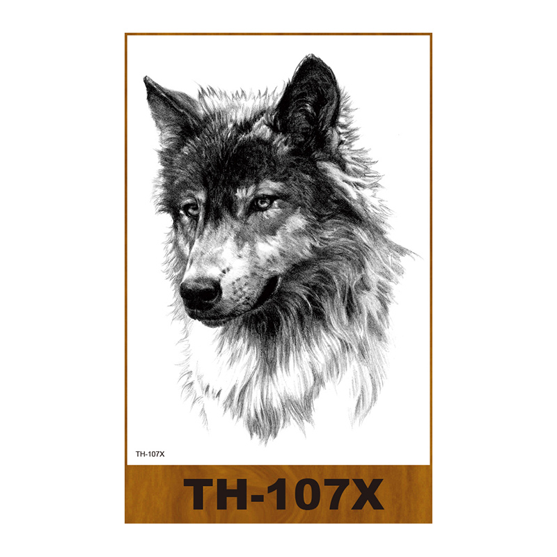 TH-107X