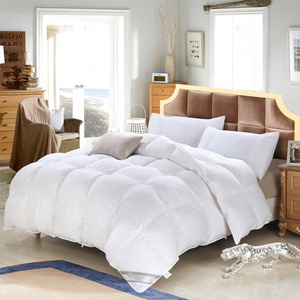 2025 nóng bán giá rẻ mùa đông Vua Kích thước chăn mùa đông trắng thiết kế lông sợi nhỏ Comforter Duvet - Product Image 6