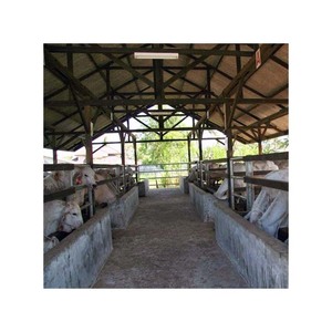 Chất lượng cao Kết Cấu Thép prefab gia súc trang trại nhỏ prefab gia súc nhà để bán - Product Image 4