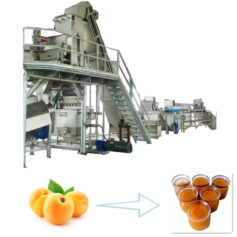 Machine de traitement et de fabrication industrielle pour la confiture d'abricot, offre spéciale d'usine