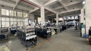 High-Speed Blister Packing Machine (200+ Packs/Min) | Dual-Lane Plastic Feeding &amp; <strong>Automatic</strong> Paper Card <strong>Loading</strong> <strong>System</strong> - Product Image 3