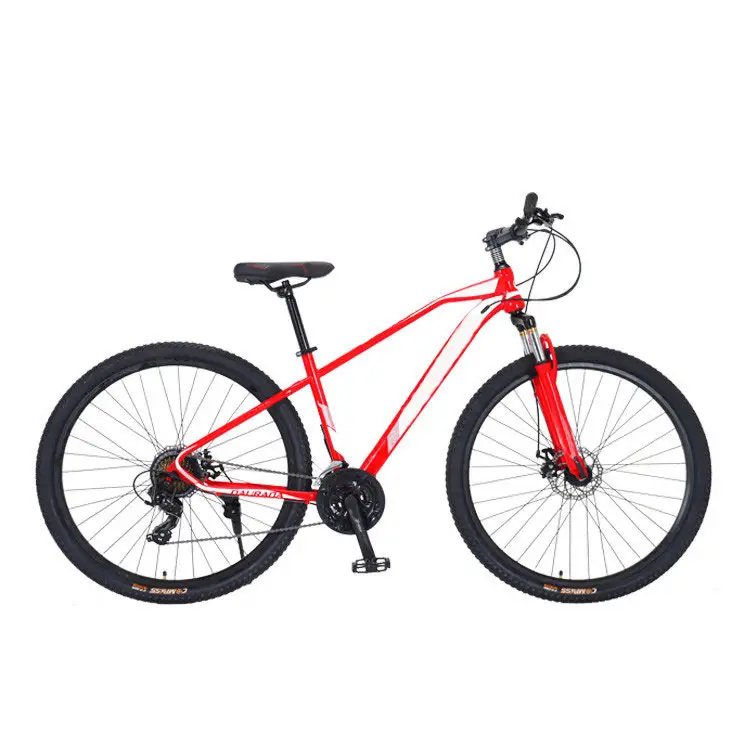 Fabricante de China al por mayor 29 pulgadas 2 velocidades Bicicleta de Montaña Cross-Country acero al carbono MTB bicicleta para hombres y mujeres