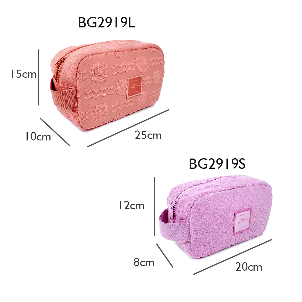 2024 B G2919