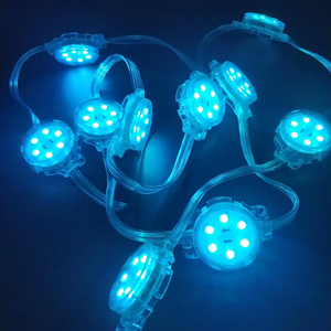 High Quality30mm 40mm 50mm 3leds 6leds 12v 24v Round 1903 <strong>Rgb</strong> <strong>Dmx</strong> 512 <strong>Led</strong> <strong>Pixel</strong> <strong>Module</strong> Light <strong>String</strong> IP68 - Product Image 4