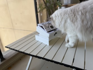 Intelligenter <span class=keywords><strong>RFID</strong></span>-Futterautomat für Haustiere | <span class=keywords><strong>Tag</strong></span>-aktivierter automatischer Futternapf für Haushalte mit mehreren Haustieren & Spezialfutter - Product Image 3