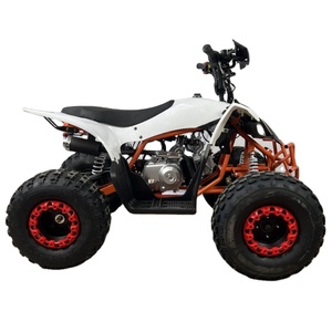 <strong>125cc</strong> <strong>Quad</strong> Bike ATV Motorcycle for Kids with CE Approved - Product Image 5