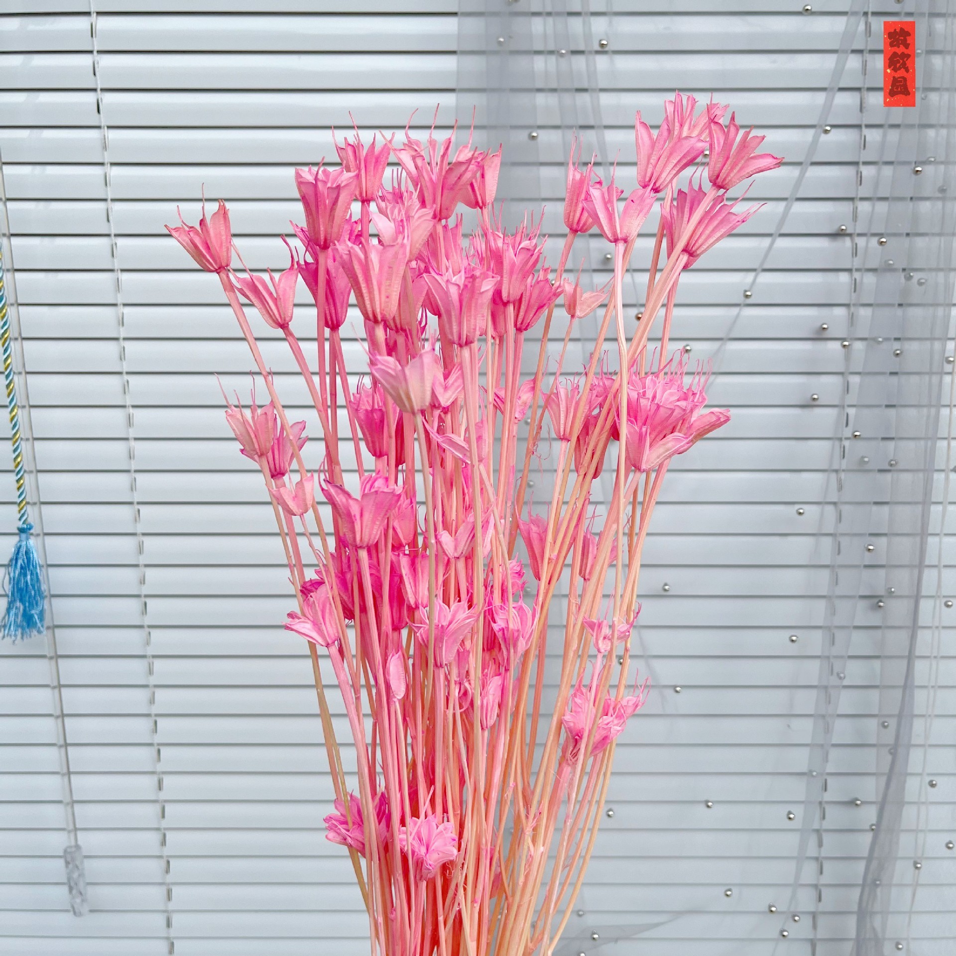 Rose d'eau