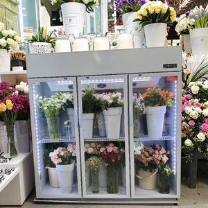 Modulares verstellbares Regal Dual-Purpose-Kühlsystem Flower Showcase Cooler Transparente Dreiwege-Kälteanlagen