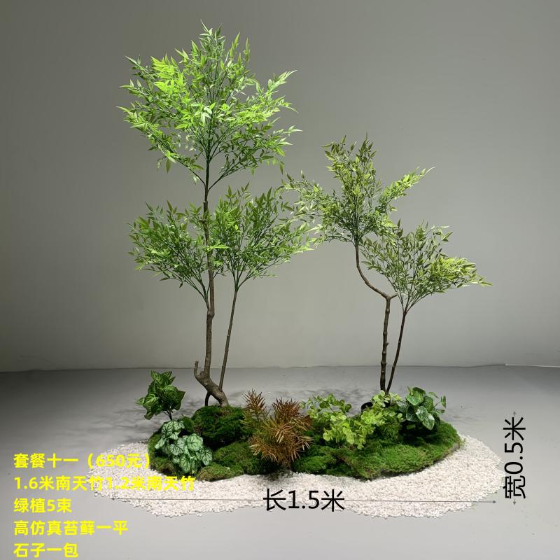 Paquete Nantianzhu 11