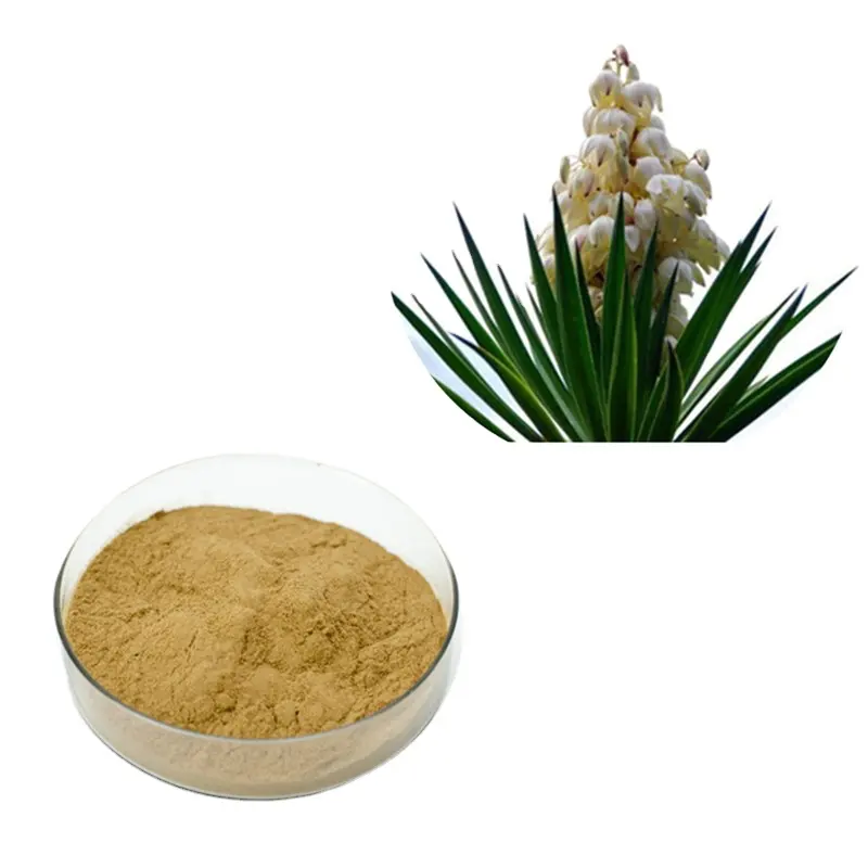 Materie prime vegetali polvere estratto di radice di Yucca 30% saponine/estratto di Yucca shidigero