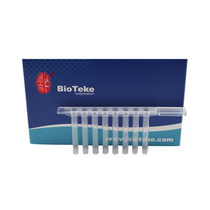Test kiti önceden doldurulmuş nükleik asit arıtma algılama kitleri DNA RNA nükleik asit ekstraksiyon kiti - Product Image 5