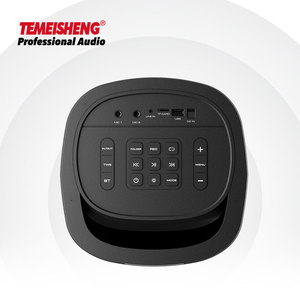 Temeisheng 2023 New Arrival Dual 6.5 Inch Sound Party Box Speaker Professional Karaoke Audio System FM Radio Wireless-BT 5.0 TWS - Product Image 6