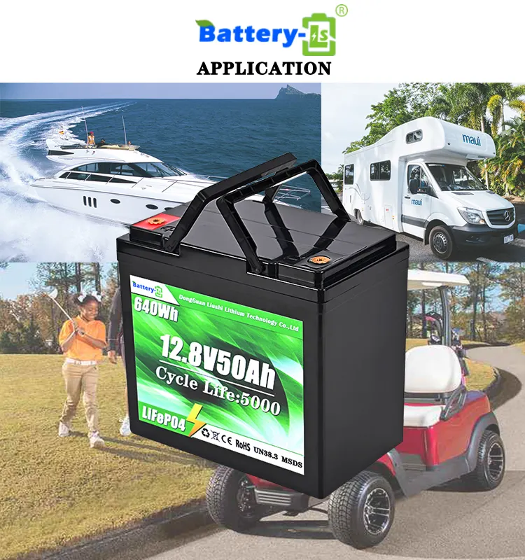 OEM Custom ized Wiederauf ladbare Lifepo4 60v 50ah 40ah 30ah 20ah 12,8 V Lithium batterie für Elektroroller-Motorräder