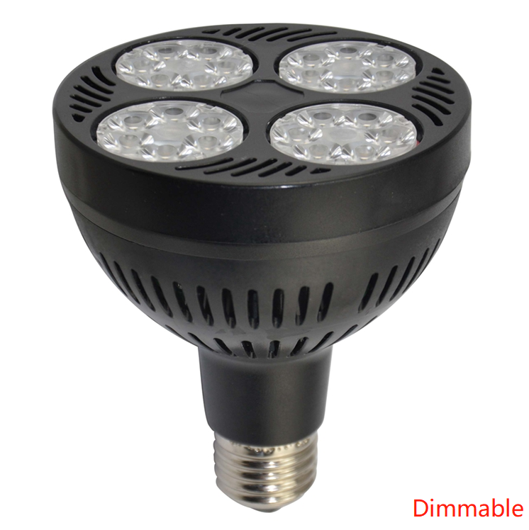 Noir (Dimmable)