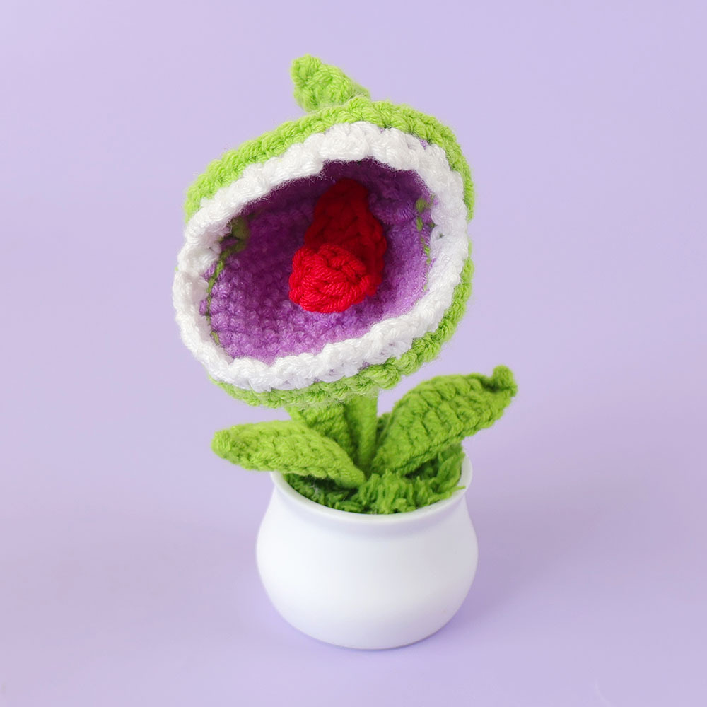 Carnivorous plant in a pot