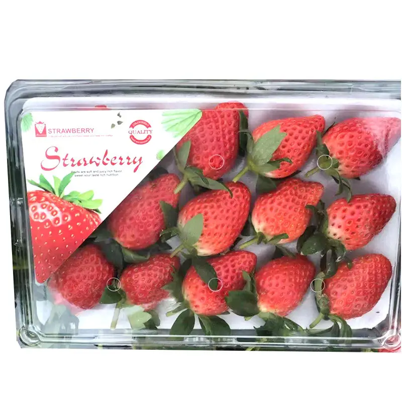 Strawberry Embalagem caixa 10/12/15/20 grade descartável transparente Express shockproof atacado food grade Morango Embalagem