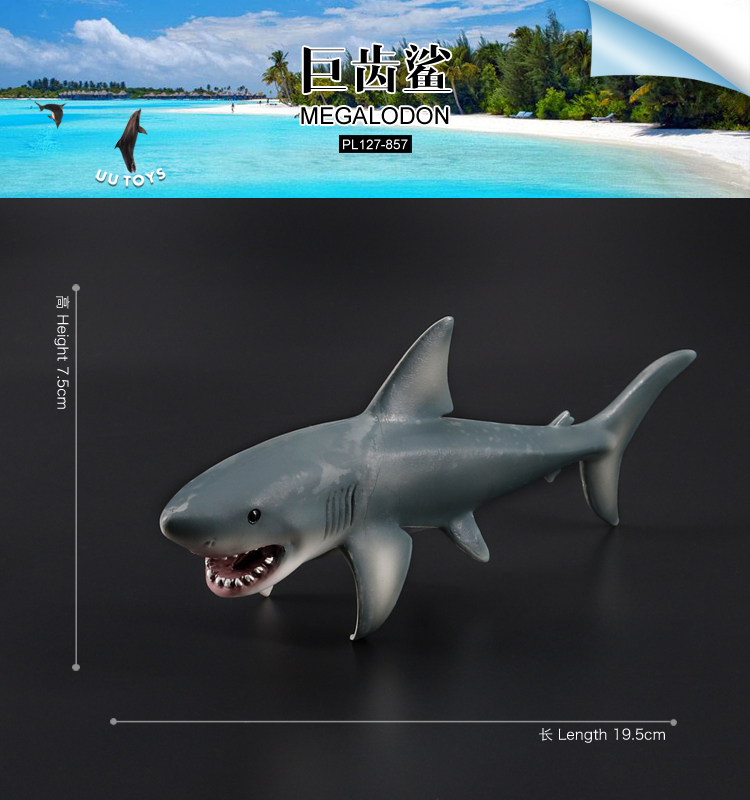 857 Tiburón Megalodón