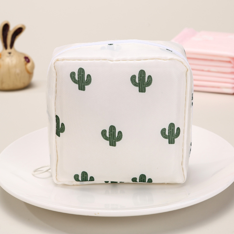 Cactus blanc