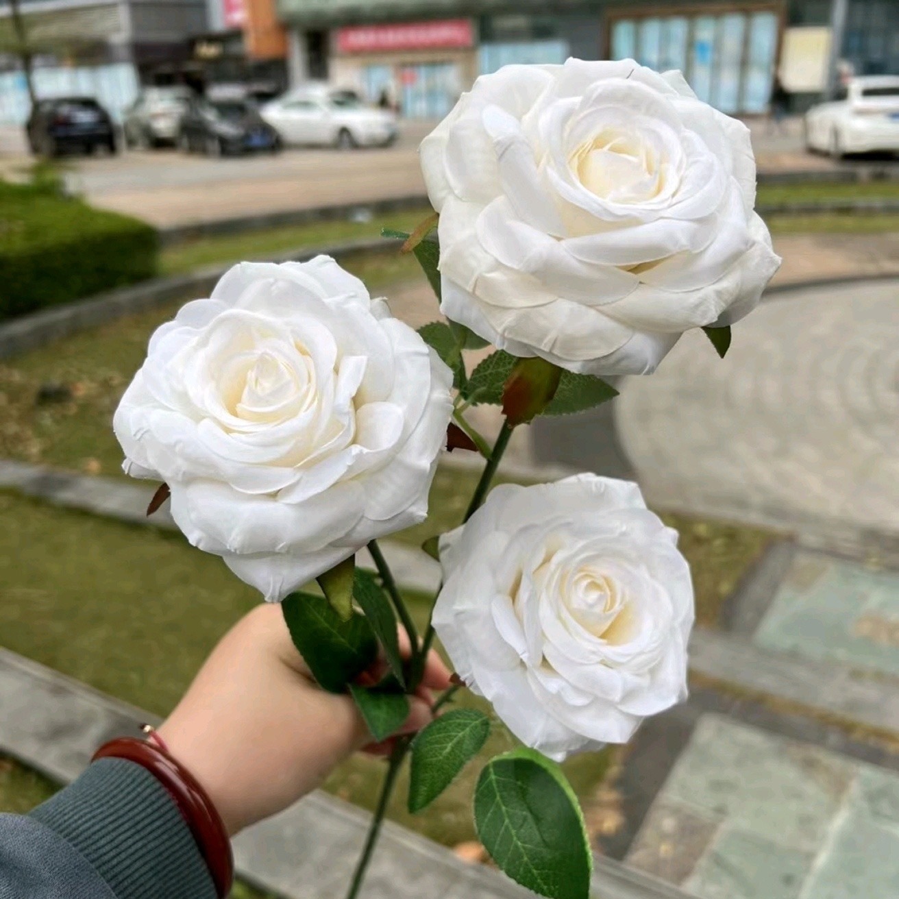 Rosa blanca rizada de 3 cabezas