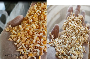 Macchina di smistamento ottico Mini selezionatore separatore di colore corea Sorter di grano visione colore Sorter Anysort soia smistatore macchina 96 - Product Image 5