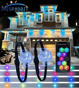 RGBW متعدد الألوان أدى بكسل ضوء واي فاي وحدة تحكم عيد الميلاد أضواء دائمة في الهواء الطلق 12 فولت 24 فولت بكسل أدى ضوء - Product Image 2