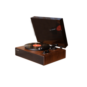 High-End Retro HiFi Stereo <strong>Audio</strong> Turntable Player with 12V <strong>Input</strong> <strong>USB</strong> <strong>Output</strong> and Recording Feature