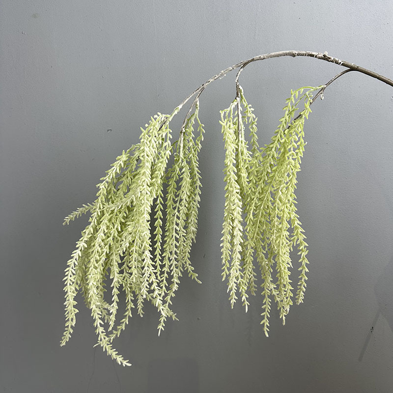 Single branch drooping sprout grass white green