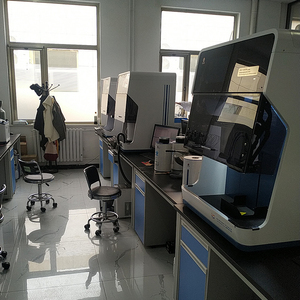 Automatic Nitrogen Adsorption Specific Surface Area Analyzer Instrument for Laboratory Research - Product Image 4