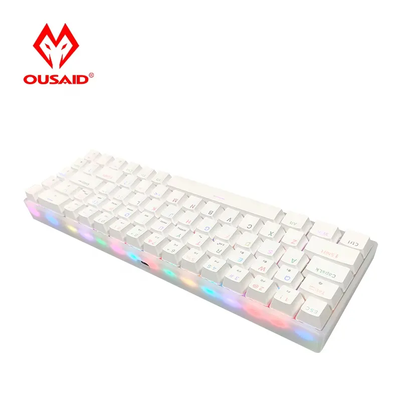 OUSAID DK68 Gaming Mechanical Keyboard 68keys Wired black and White Keyboard