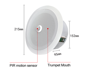 运动激活模块可记录迷你微型USB高音量单元安装音频播放器 - Product Image 3