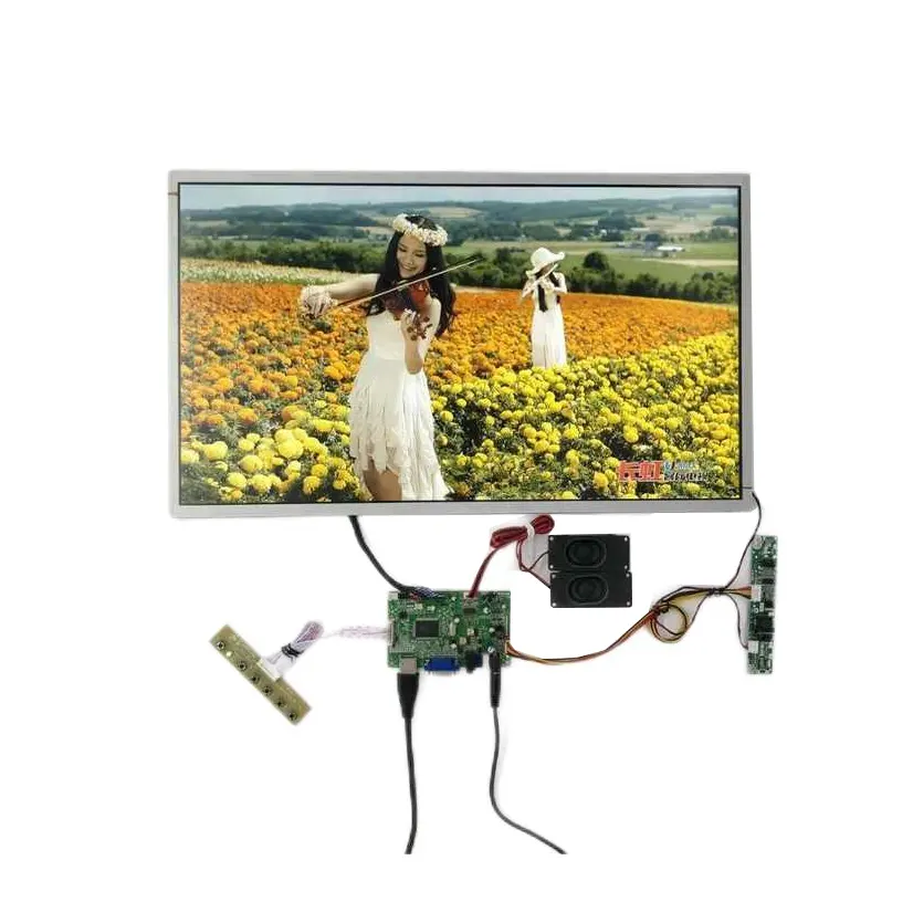 Auo 21.5 inch Độ sáng cao LCD Panel p215han02.0 hỗ trợ 1920(RGB)* 1080, 1500 nits, độ sáng cao màn hình LCD