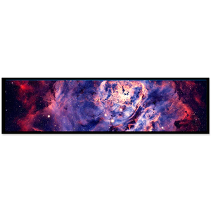 TFT LCDメーカー8.8インチTFT LCDモジュール1920*720高解像度TFTディスプレイ - Product Image 4