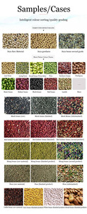 KI intelligente Farb-Sortiermaschine für Reis, Bohnenfarb-Sortiermaschine Sortierbarkeit von rohem Kaffee Farb-Selektor/Graderer - Product Image 3