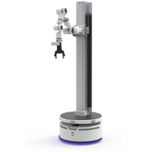 Robot de elevación móvil compuesto inteligente personalizado Automatización de brazo robot colaborativo industrial pequeño robot multieje - Product Image 2