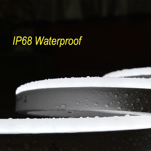 Bán Sỉ Dải Đèn LED Neon Flex 5050 RGB Lập Trình Pixel WS2811 SPI DMX 10X20Mm Siêu Mỏng IP68 Biển Hiệu Chiếu Sáng Ngày Lễ - Product Image 6