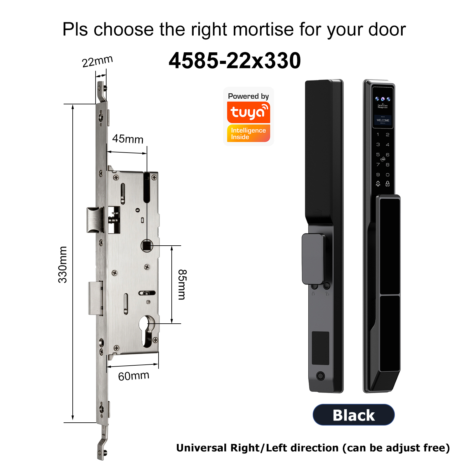 Z5 with 4585 Swing Multi-point Mortise(22x330mm)