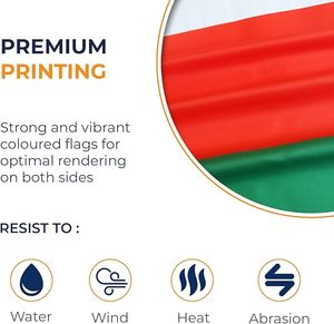 Sultan of Oman Flag 3x5 Ft Banner Screen Print Polyester Canvas <strong>Header</strong> and Double Stitched Brass Grommets for <strong>Easy</strong> Display - Product Image 6