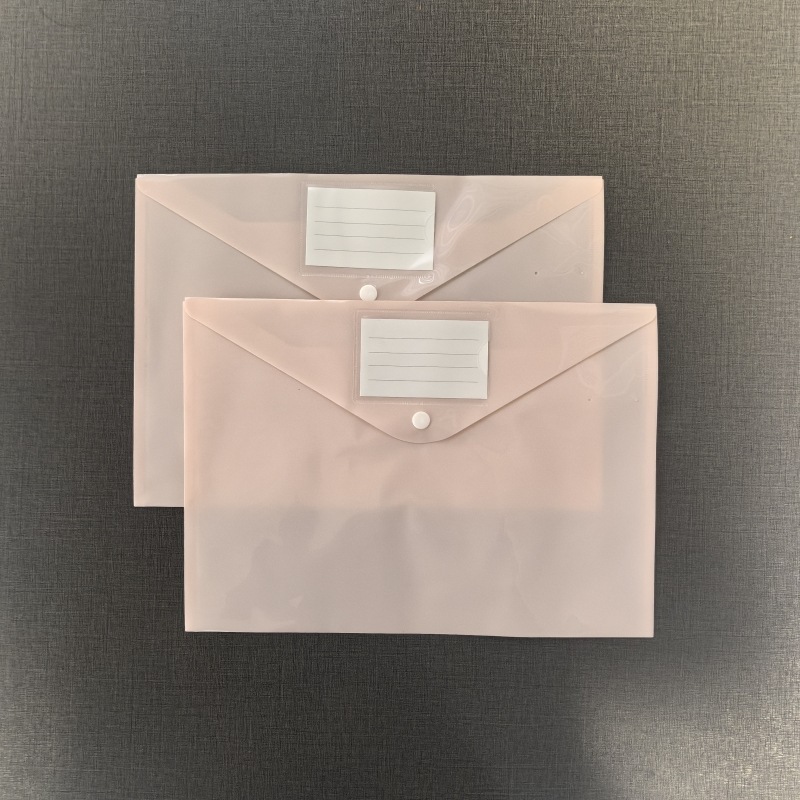 Pink semi transparent label file bag