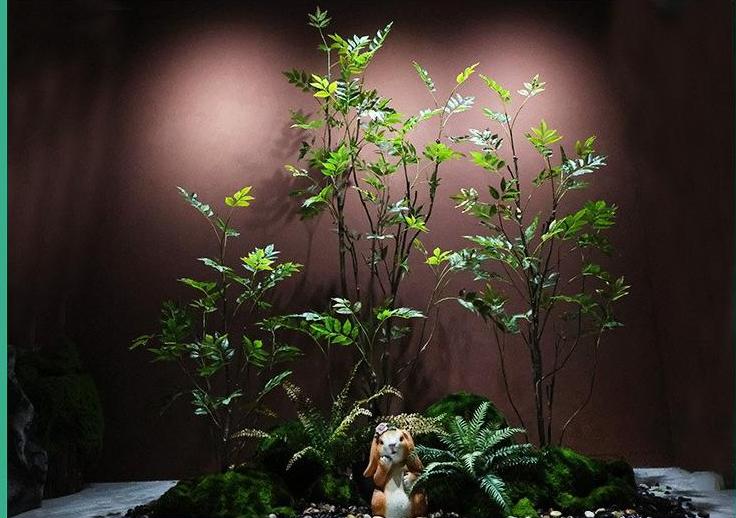 Ensemble de deux arbres Huanghuali