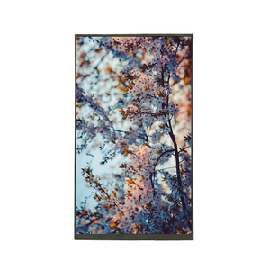 Venta caliente 800*1280 Resolución 10,1 Pulgadas MIPI Interfaz Tft Lcd Panel 10,1 Módulo de pantalla