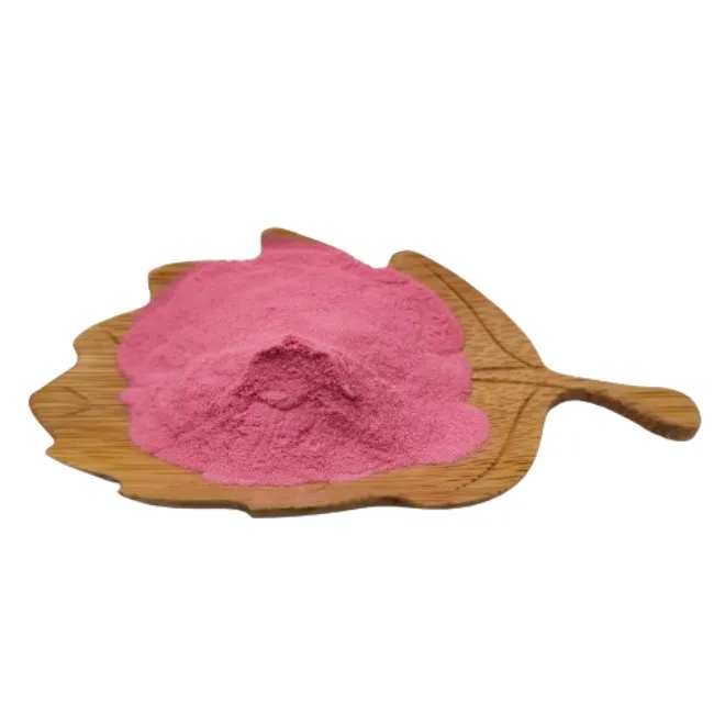 Wholesale Price OEM/ODM 100% Natural Concentrate Fruit Juice Powder Cranberry Powder