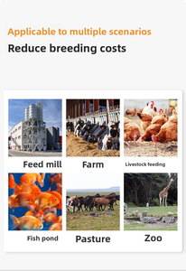 Mini thức ăn gia đình <span class=keywords><strong>PELLET</strong></span> máy làm/cá da trơn Thức ăn viên Máy/Bò Phân <span class=keywords><strong>PELLET</strong></span> máy - Product Image 6