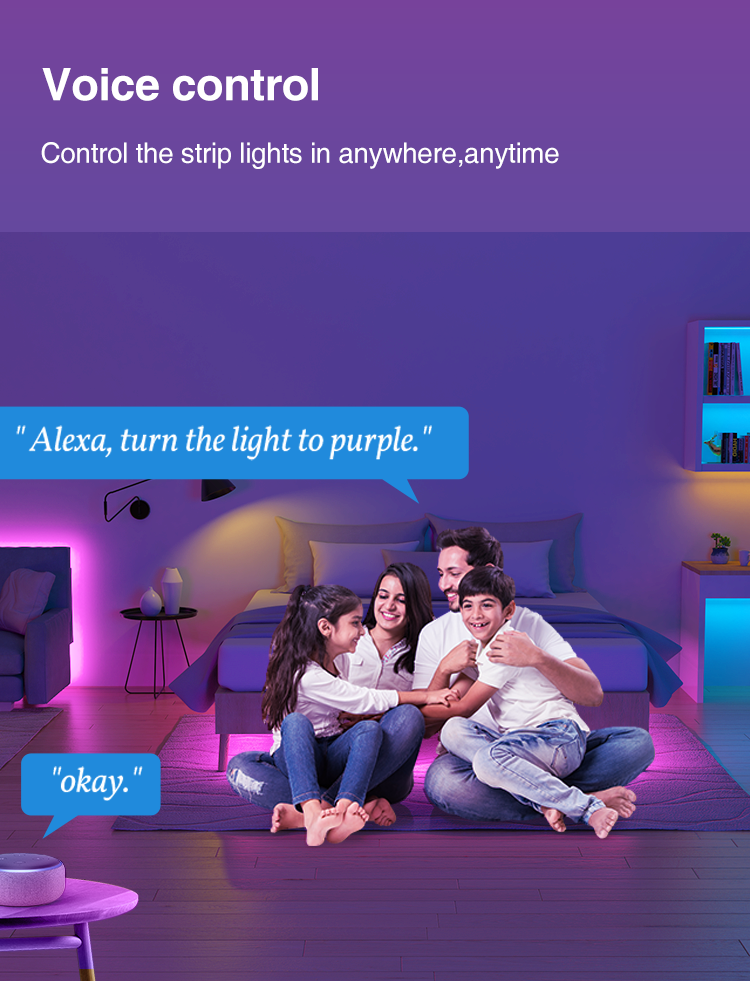 Drop Shopping Smart Strip Light Led Room Light Strip Cheap Smart Home Room Decoration Led Waterproof Strip Light Set Suppliers