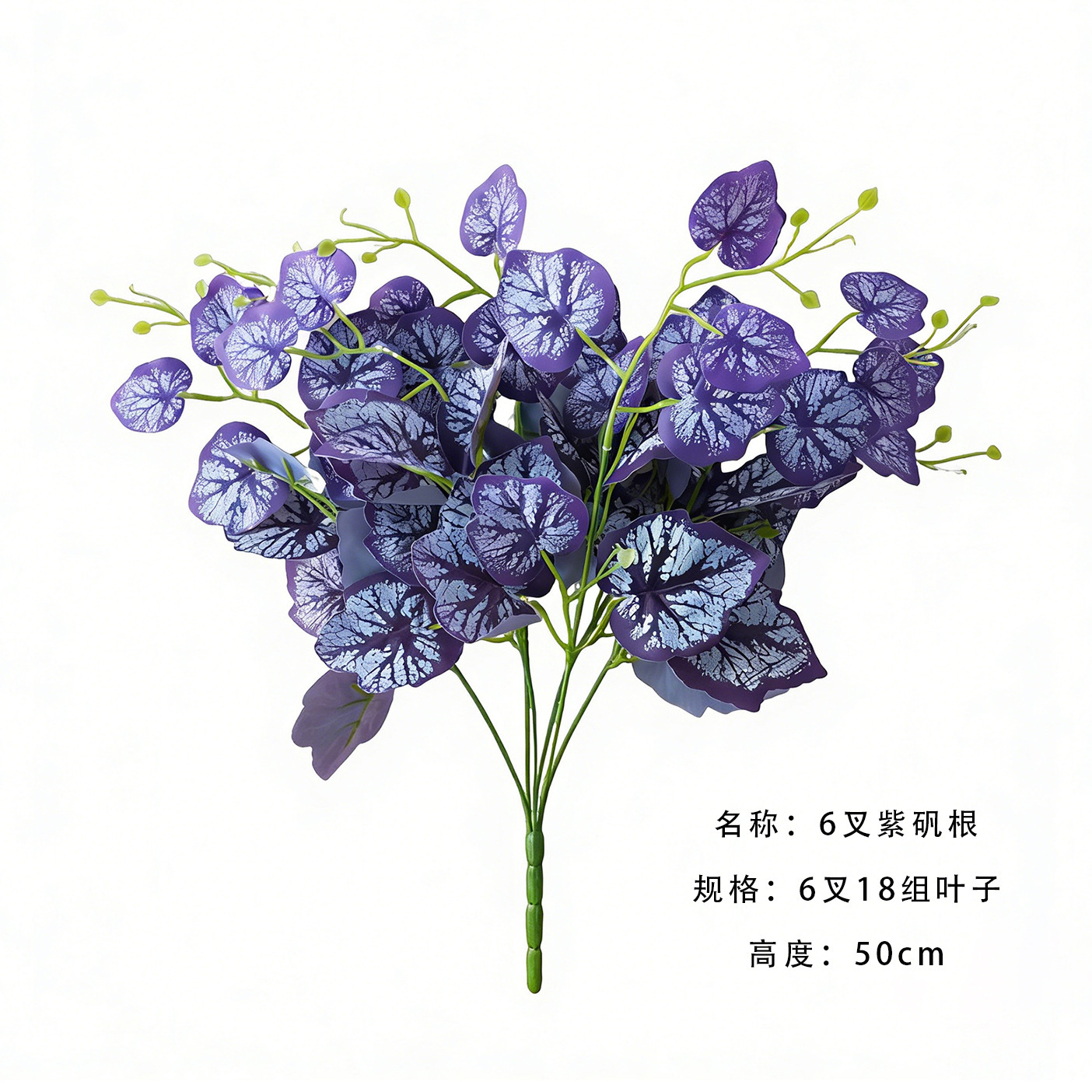 6 fork purple alum root a branch